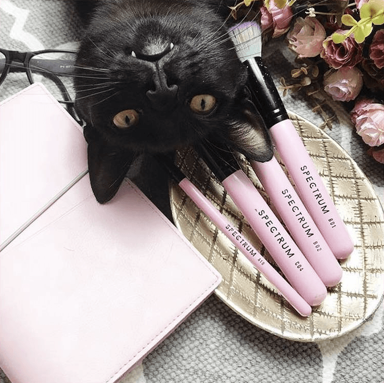Cruelty Free OR Vegan Beauty...why should there be a difference?