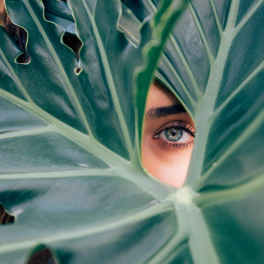 Spectrum Talks: Conscious Beauty