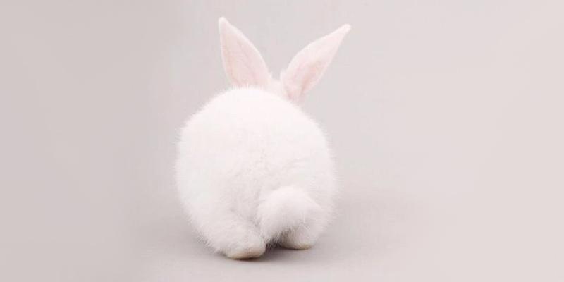 Spectrum Talks: All About Vegan and Cruelty Free Beauty