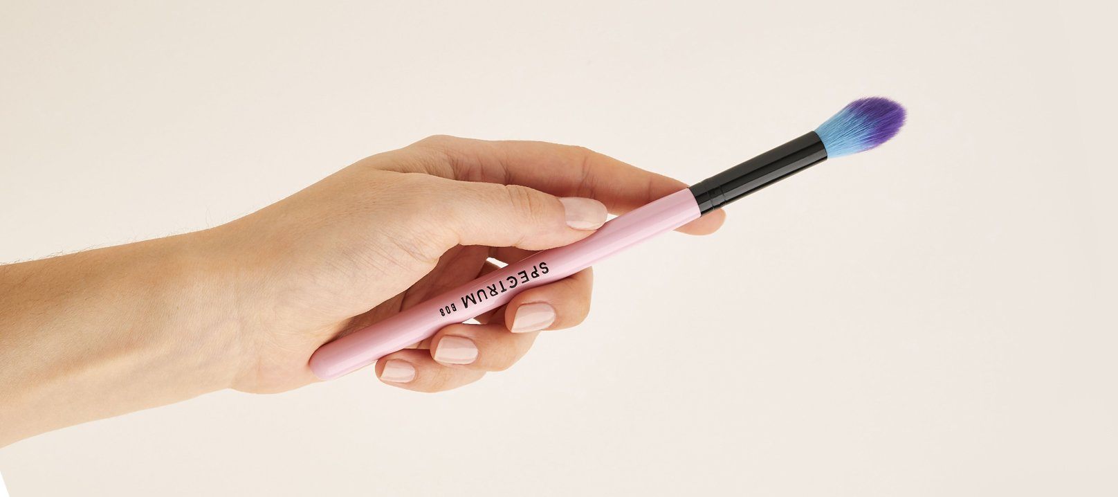 Highlighter Fan Brushes