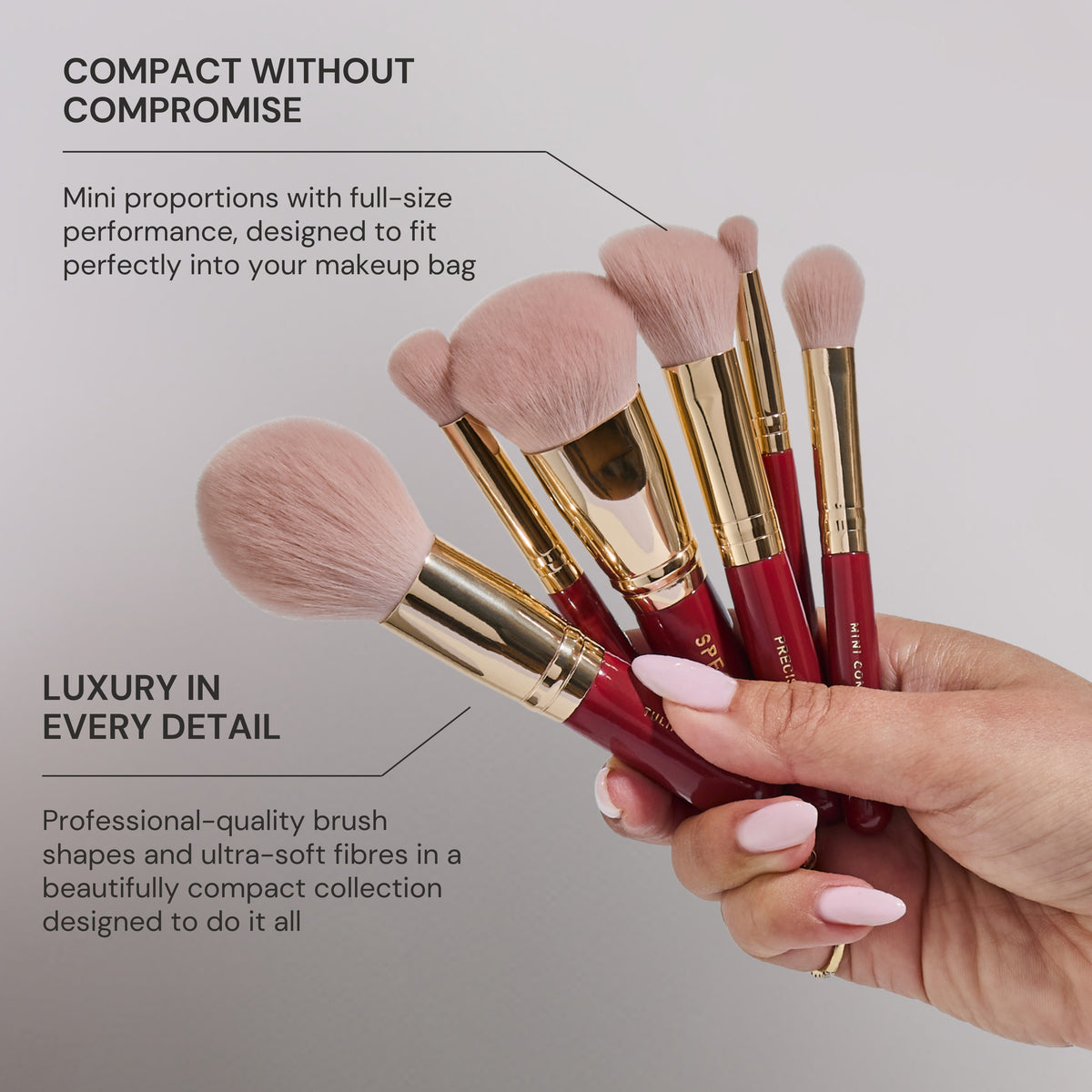 Little Luxuries 6 Piece Mini Brush Set
