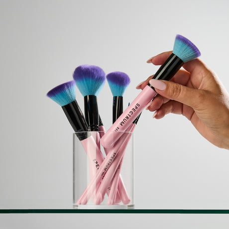 Set de 10 Brochas Esenciales de Maquillaje
