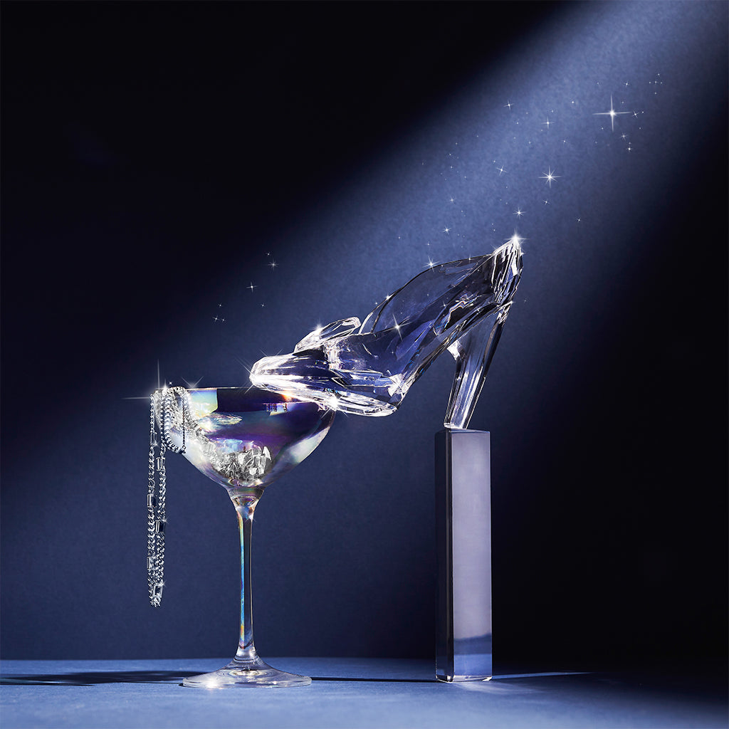 Cinderella Glass Slipper Brush Storage Spectrum Collections