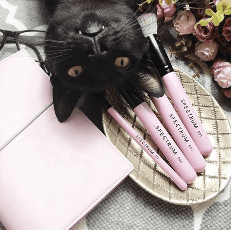 Cruelty Free OR Vegan Beauty...why should there be a difference?