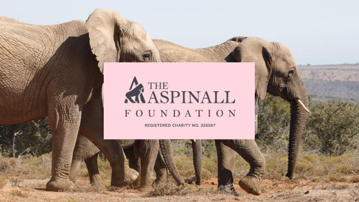 Aspinall Foundation: Our Official Charity Partner