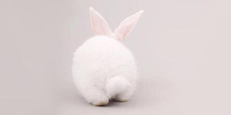Spectrum Talks: All About Vegan and Cruelty Free Beauty