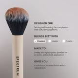 Dúo de brocha de base y polvos Luxe 'The Blur and Set'