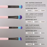 Set de 10 Brochas Esenciales de Maquillaje