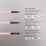 Set de 10 Brochas Esenciales de Maquillaje