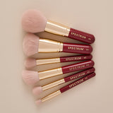 Little Luxuries 6 Piece Mini Brush Set