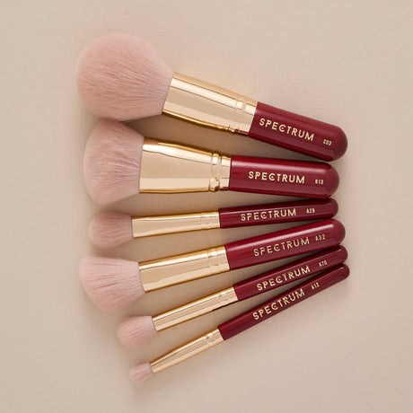 Little Luxuries 6 Piece Mini Brush Set