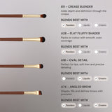 Pantherine Beautcase and 12 Piece Brush Set