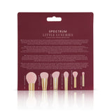 Little Luxuries 6 Piece Mini Brush Set