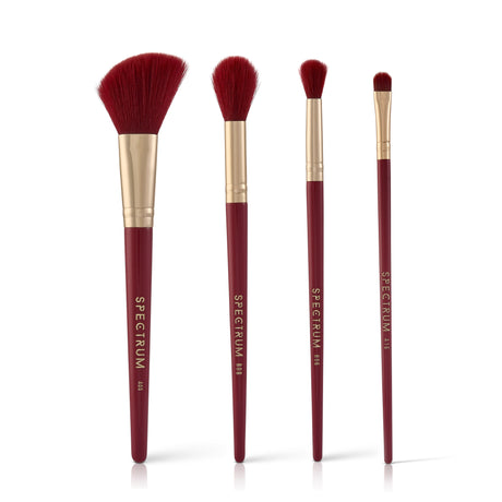 Ace in Beauty 4 Piece Brush Set