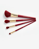 Ace in Beauty 4 Piece Brush Set