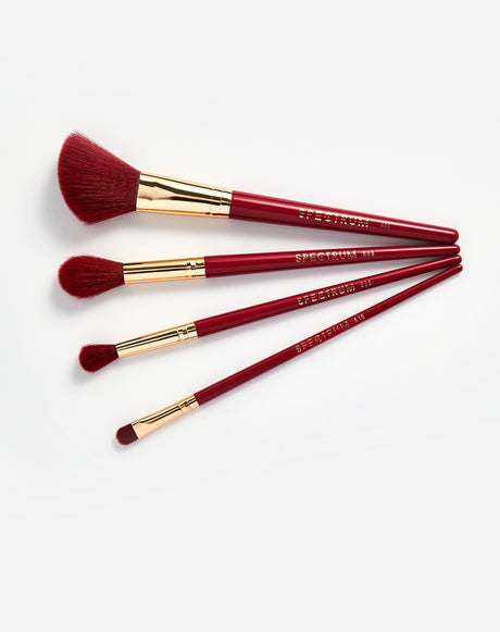 Ace in Beauty 4 Piece Brush Set