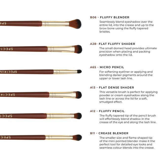Pantherine 6 Piece Eye Makeup Brush Set