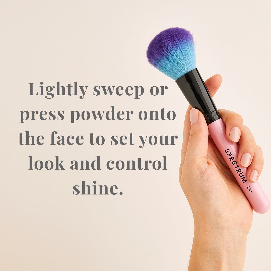 A01 Domed Powder Brush Spectrum Collections
