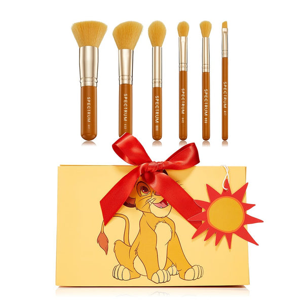 Simba 6 Piece Giftable Brush Set