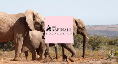 You Can Make A Donation To The Aspinall Foundation Today